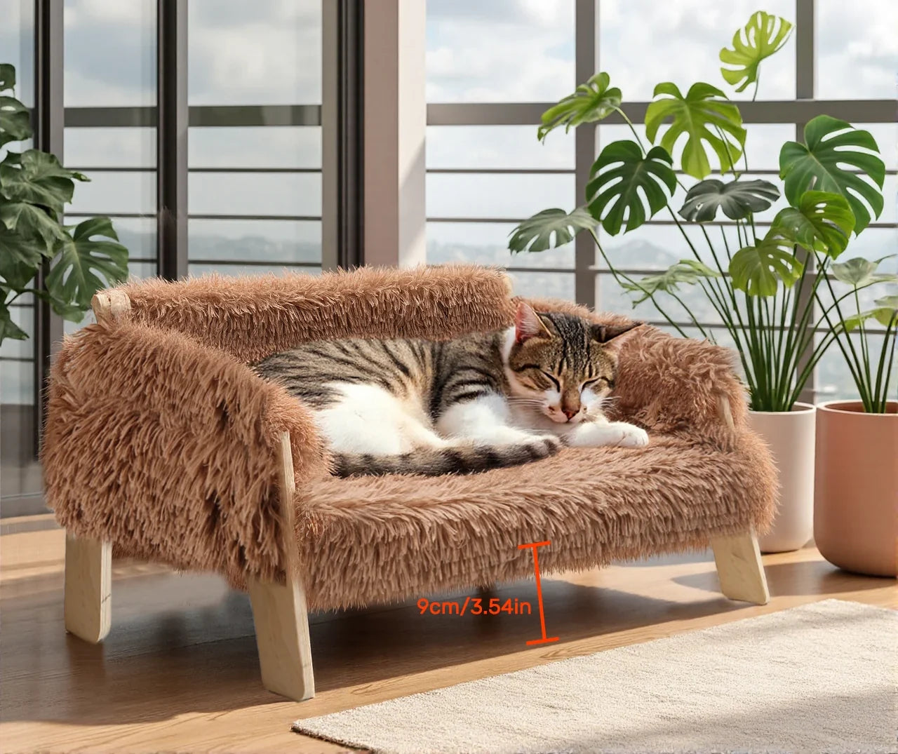 Tabby cat resting on the raised cat couch by a window